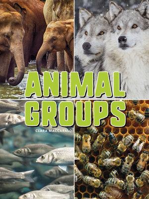 cover image of Animal Groups